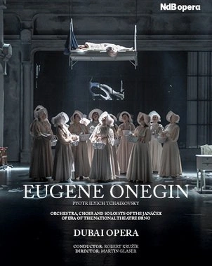 Eugene Onegin - Opera — banner
